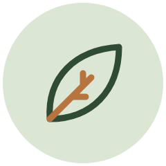Leaf icon – lifestyle and wellness
