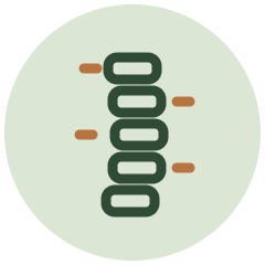 Spine icon – chiropractic care
